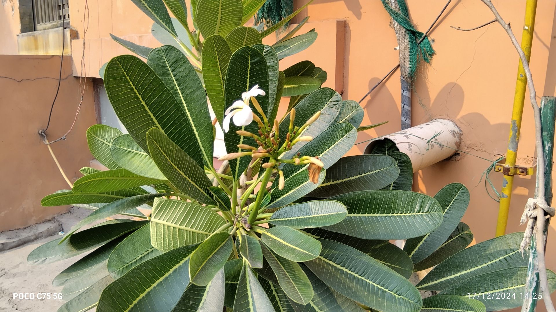 POCO C75 5G Review: Affordable Performance with 120Hz Display and Long Battery Life 7 POCO C75 5G Review: Affordable Performance with 120Hz Display and Long Battery Life