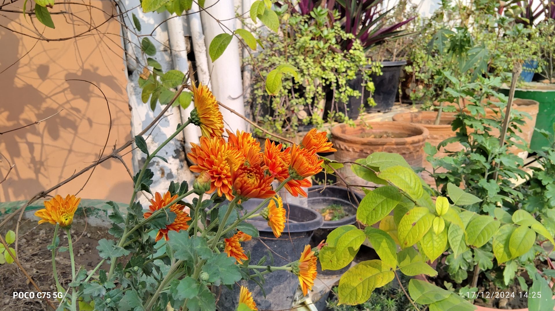 POCO C75 5G Review: Affordable Performance with 120Hz Display and Long Battery Life 9 POCO C75 5G Review: Affordable Performance with 120Hz Display and Long Battery Life