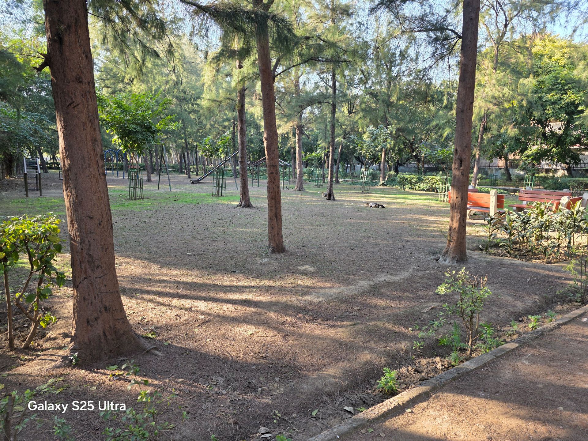 Samsung Galaxy S25 Ultra Review: A Masterclass in Smartphone AI Innovation 12 Samsung Galaxy S25 Ultra Review