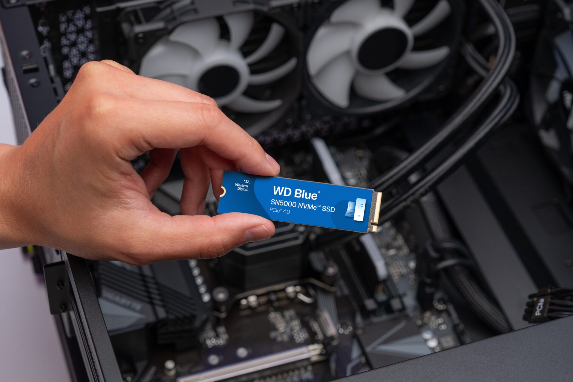 Western Digital Launches WD Blue SN5000 NVMe SSD for Enhanced Content Creation in India
