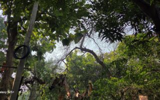 Samsung Galaxy S25+ Review: The Ultimate Powerhouse in Your Hands 12 Samsung S25+