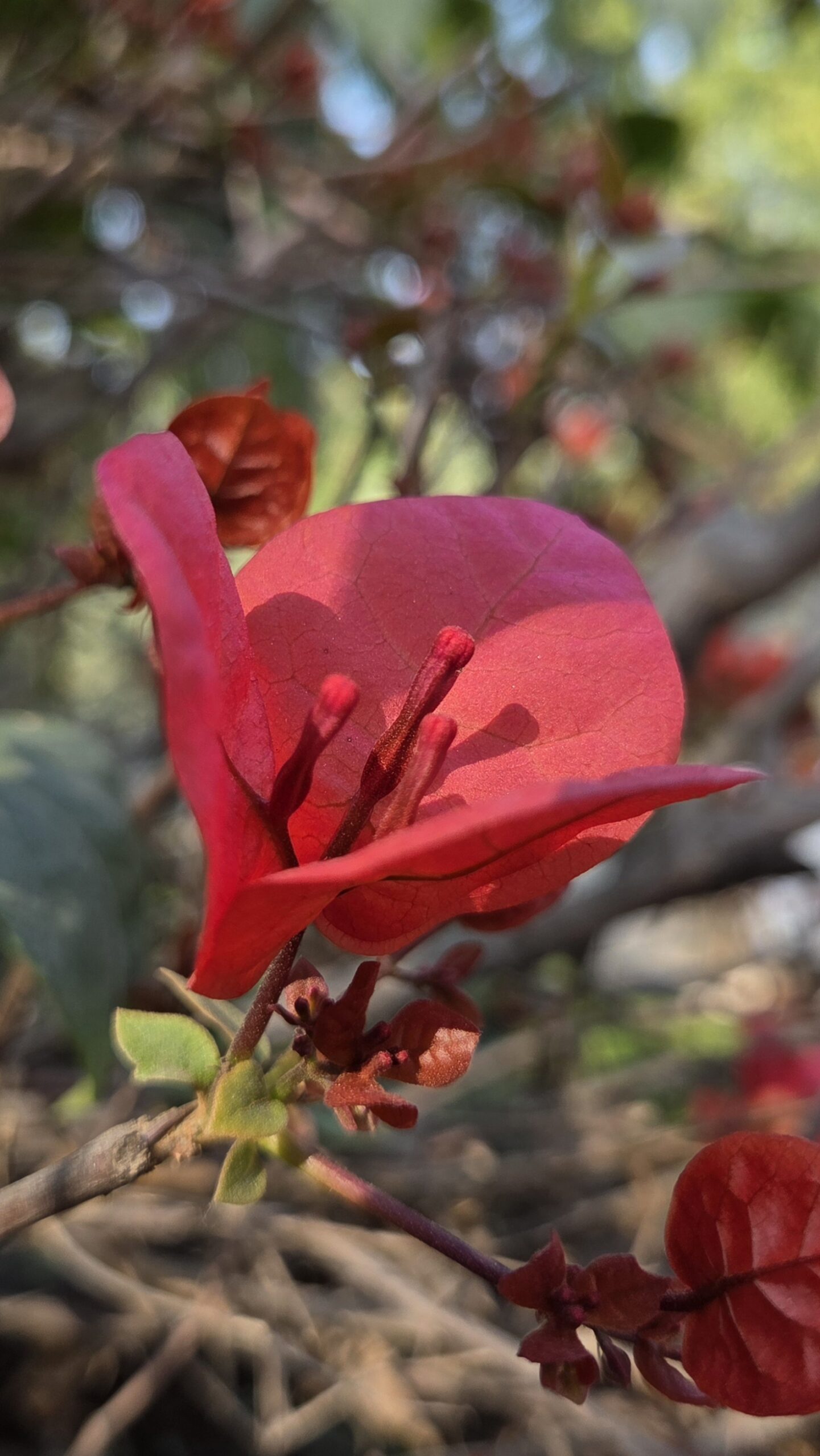 Samsung Galaxy S25: Is It the Best Compact Flagship of 2025? 12 Samsung Galaxy S25