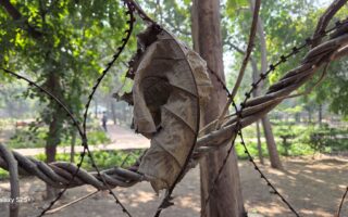 Samsung Galaxy S25+ Review: The Ultimate Powerhouse in Your Hands 11 Samsung S25+