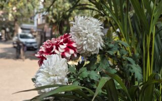 Samsung Galaxy S25+ Review: The Ultimate Powerhouse in Your Hands 17 Samsung S25+