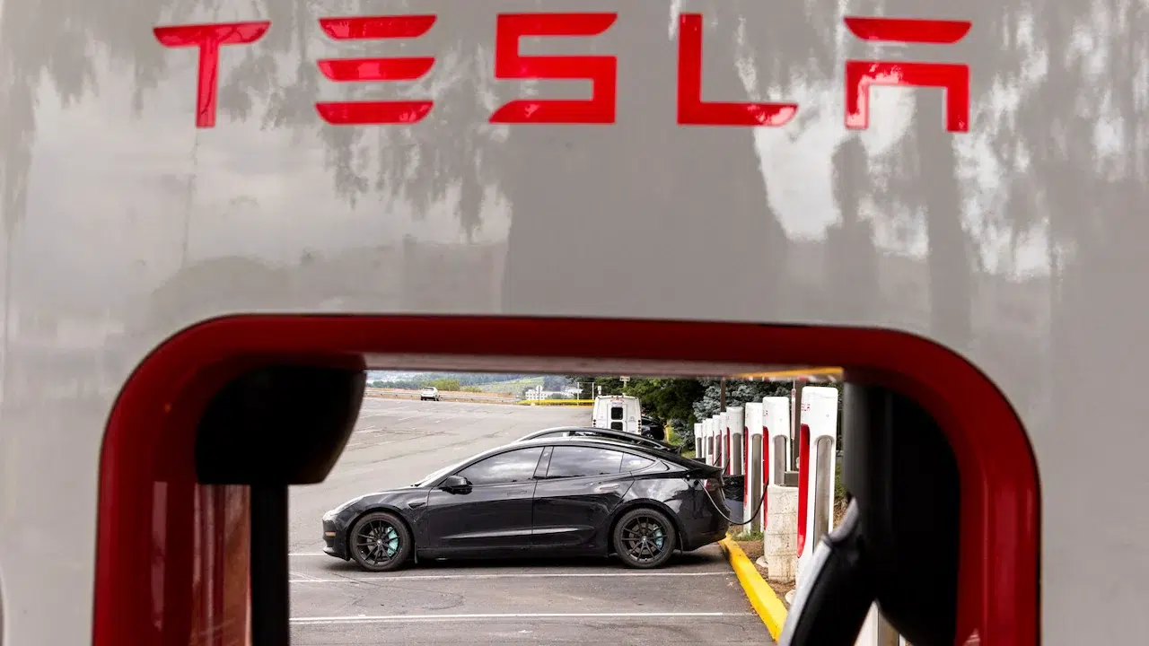 Tesla Seeks Factory Site, Andhra Pradesh Emerges as Frontrunner