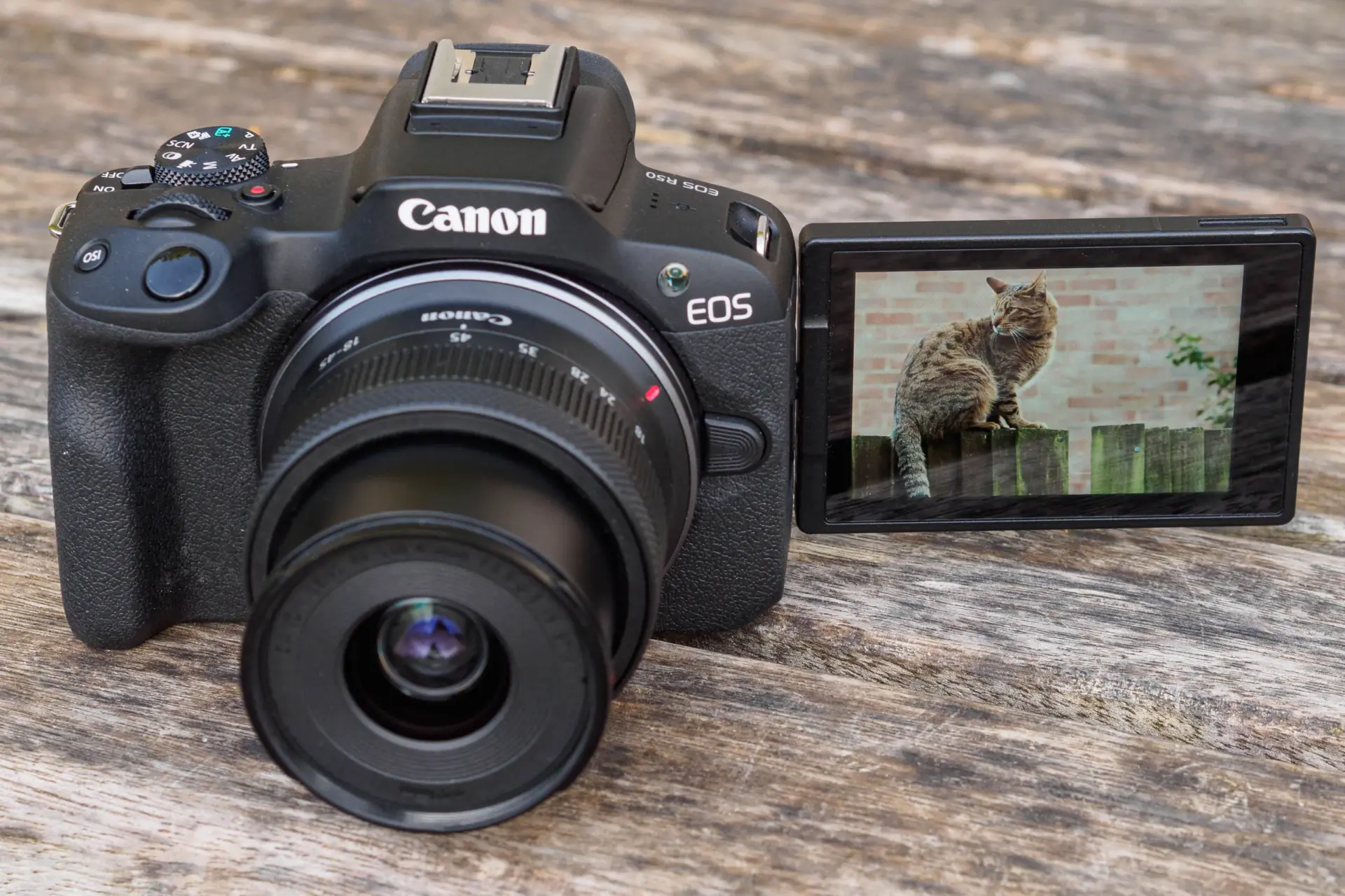 Canon's New ₹79,995 Camera Could Be Your Creative Breakthrough