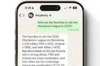 Is Perplexity AI on WhatsApp the Future of Everyday AI Chat