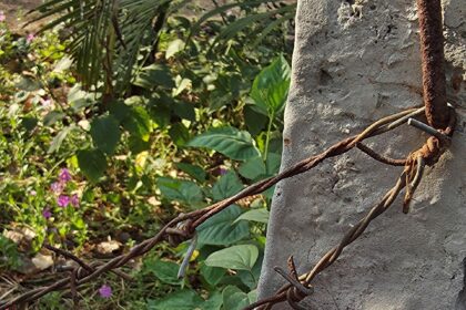 S25 Edge Camera Samples (5)