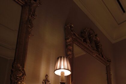 Motorola Edge 60 Fusion Review