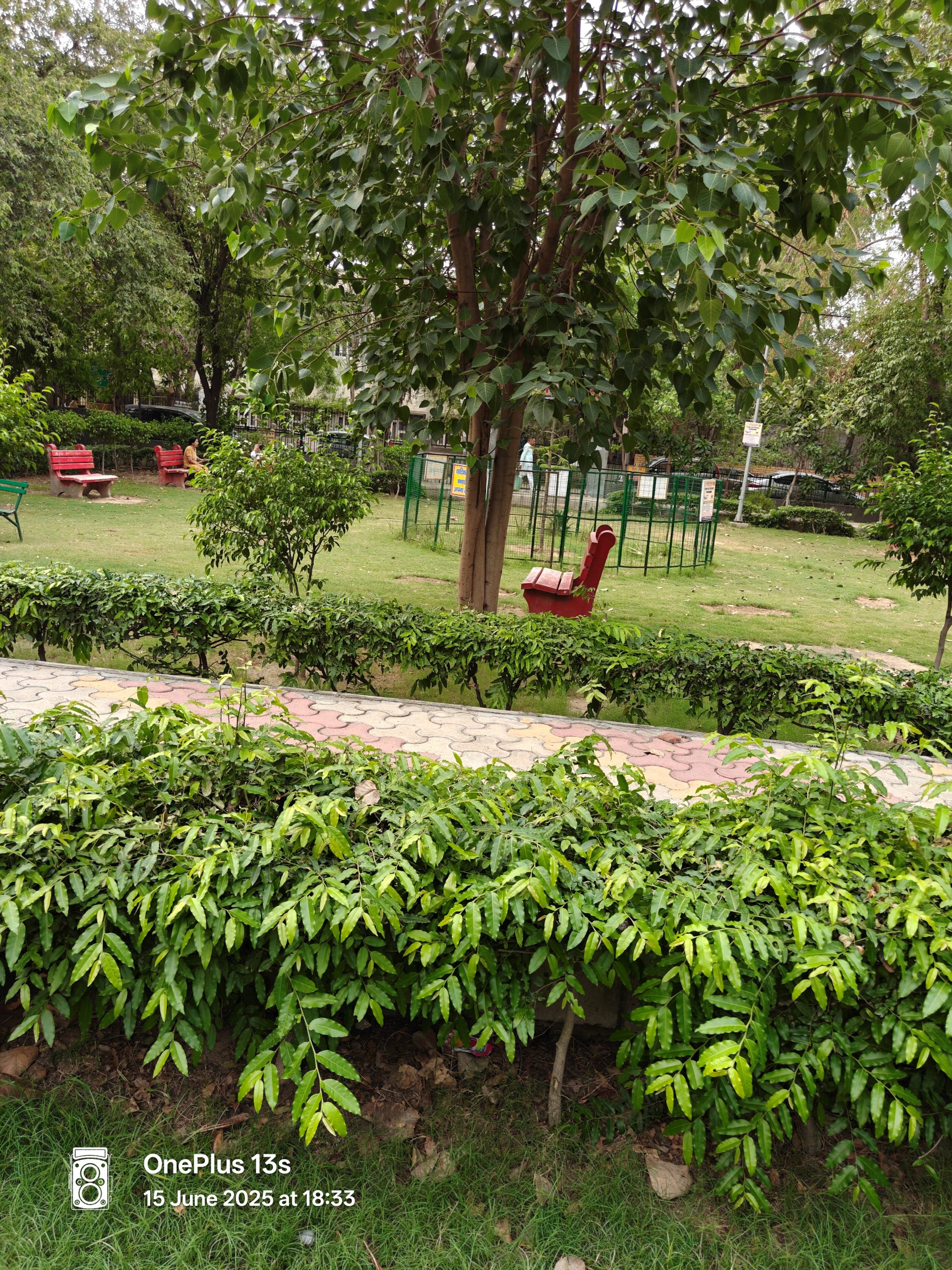 OnePlus 13s Review: Is It the Best Compact Android Phone of 2025? 11 OnePlus 13s Samples