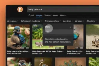 DuckDuckGo and Kagi Let You Filter Out AI-Generated Images in Search Results