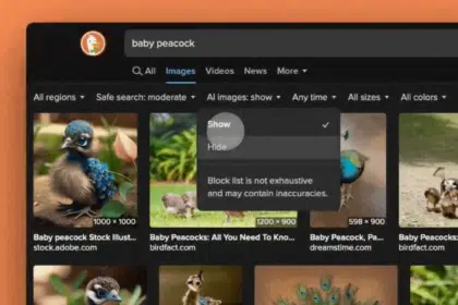 DuckDuckGo and Kagi Let You Filter Out AI-Generated Images in Search Results