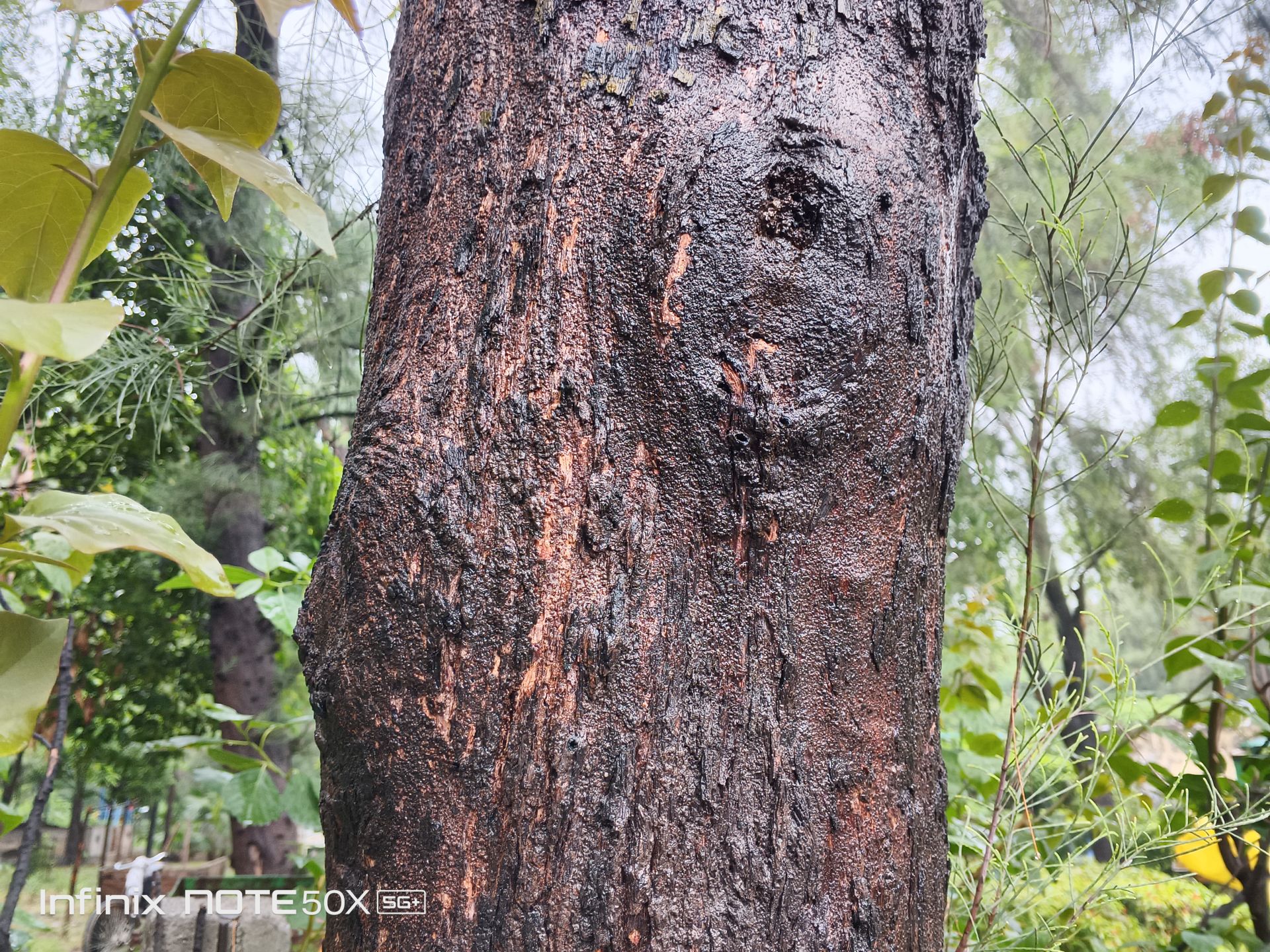 Infinix Note 50x Review: A Budget Contender with AI Ambitions 11 Infinix Note 50x