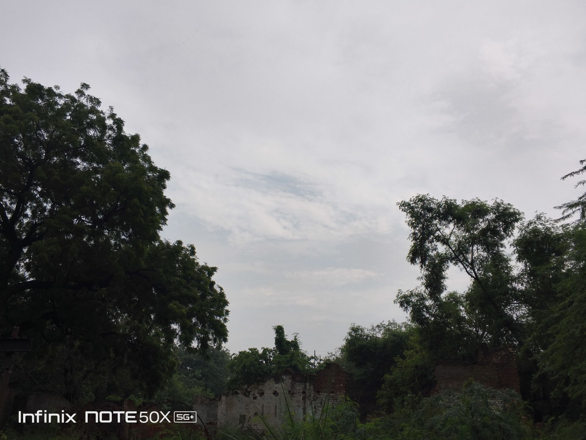 Infinix Note 50x Review: A Budget Contender with AI Ambitions 12 Infinix Note 50x