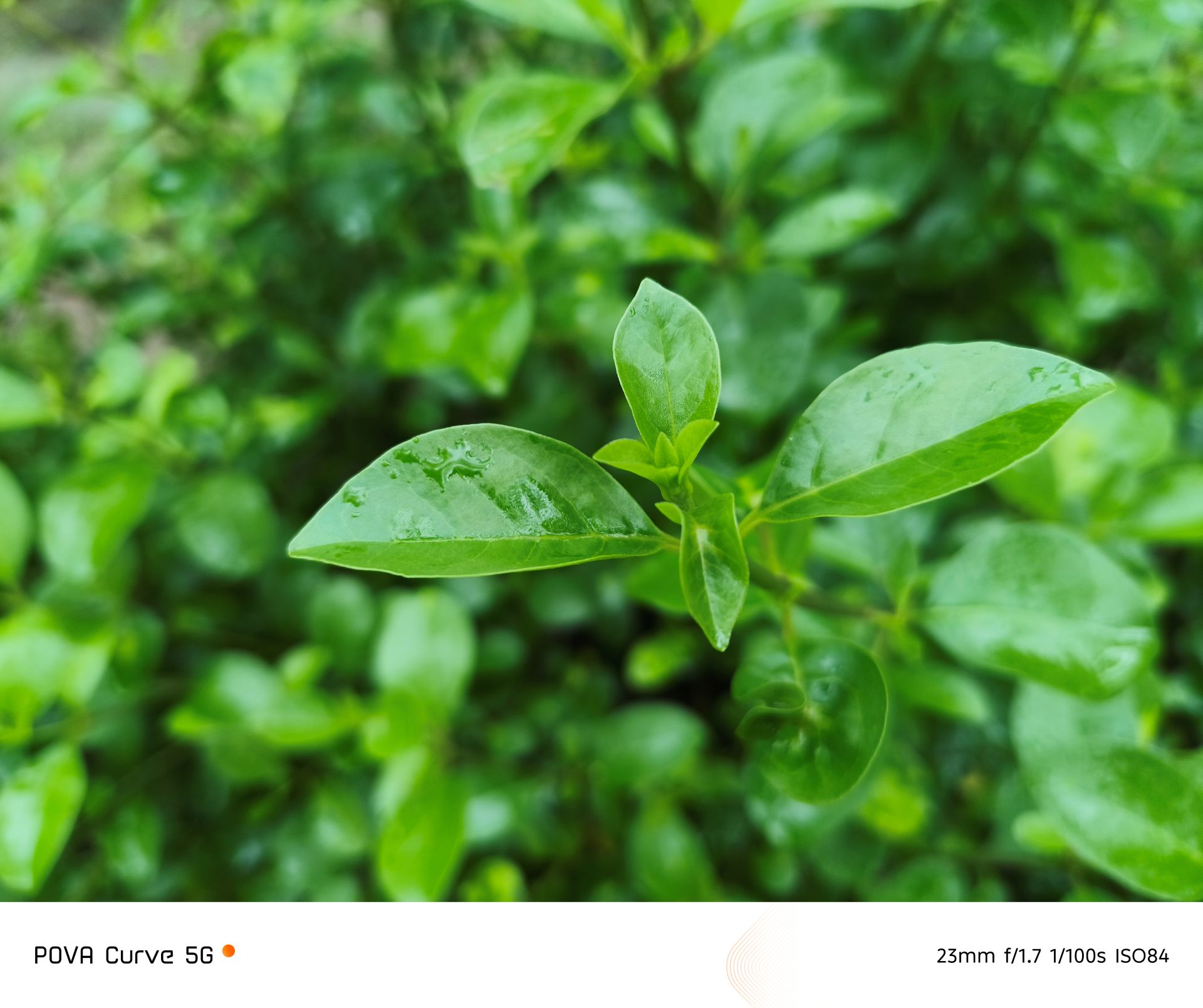 Tecno Pova Camera Samples