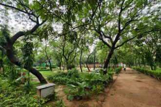 X200 Ultra Camera Samples