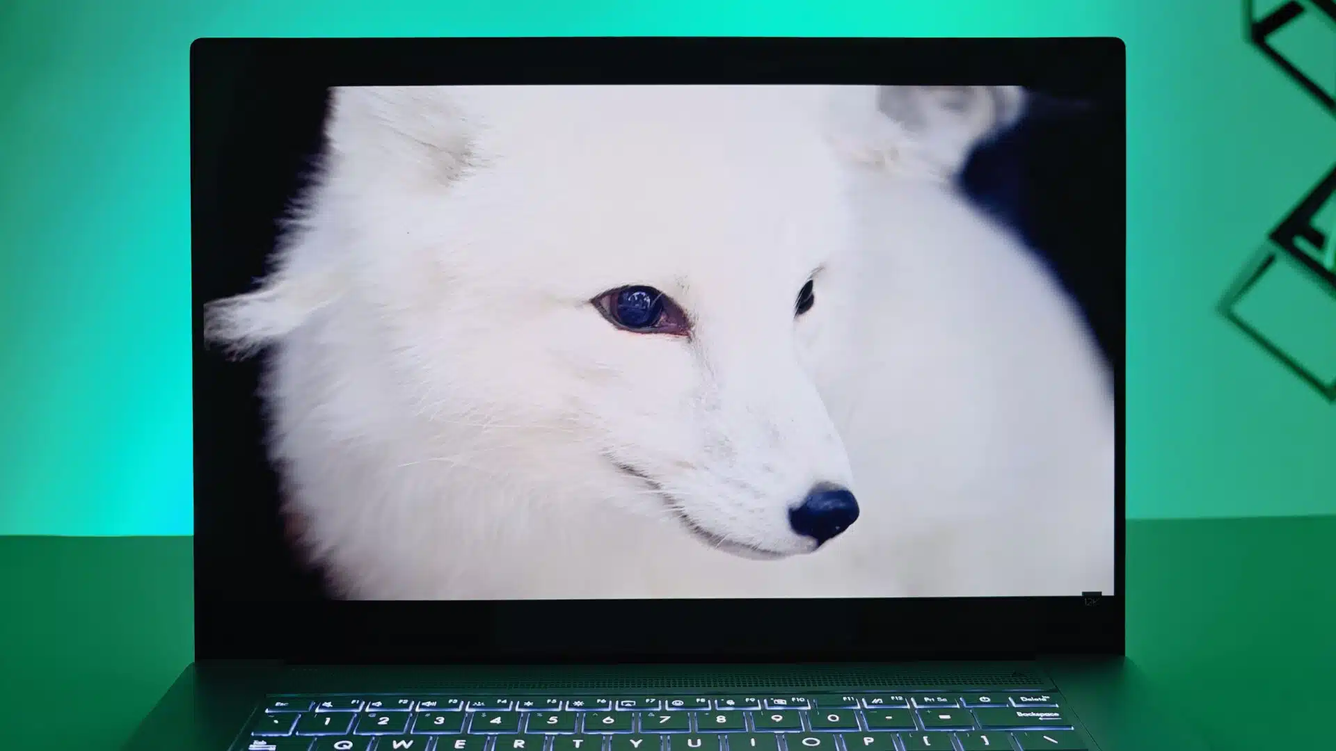 Asus Zenbook S16 Review