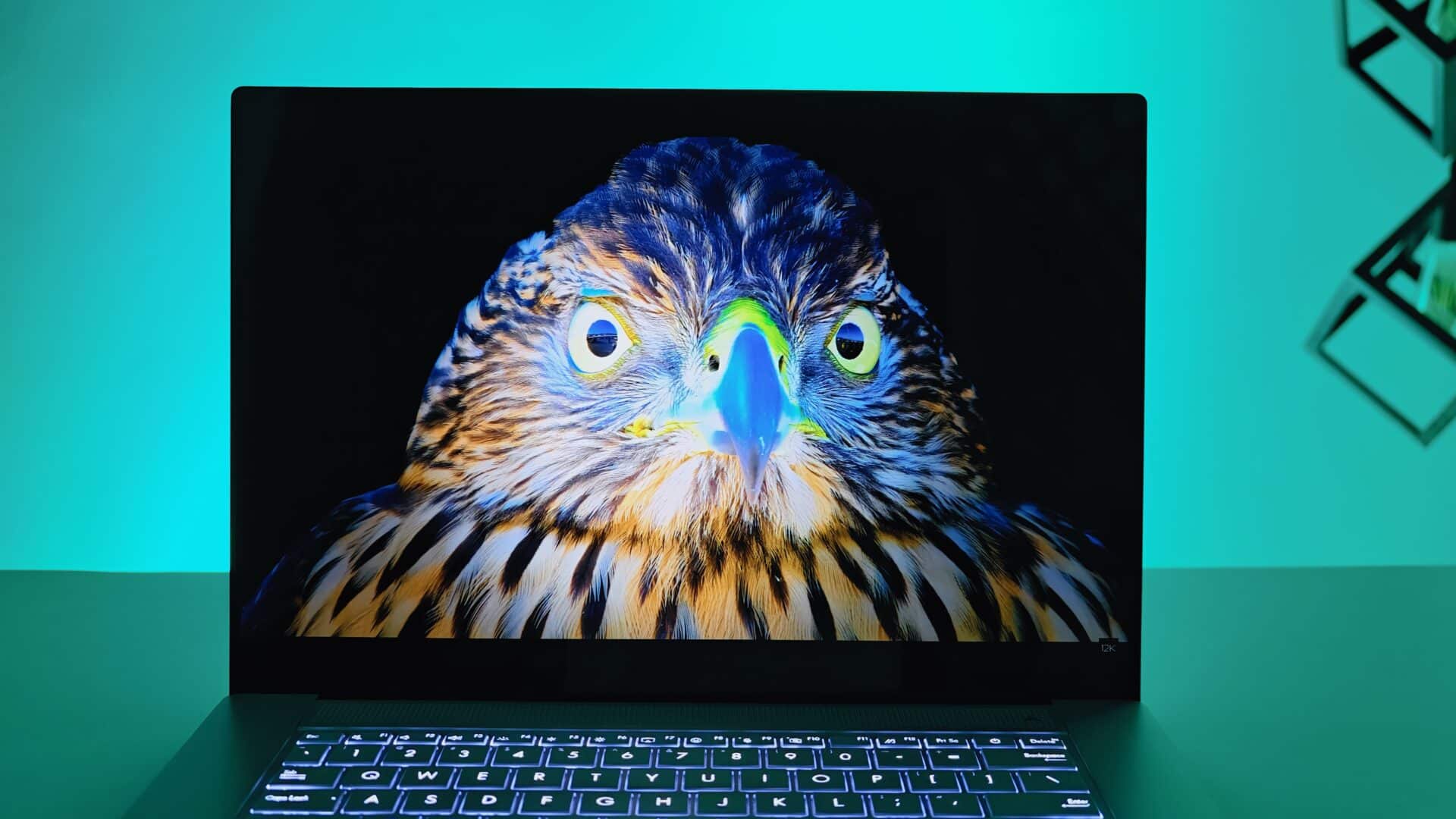 Asus Zenbook S16 Review