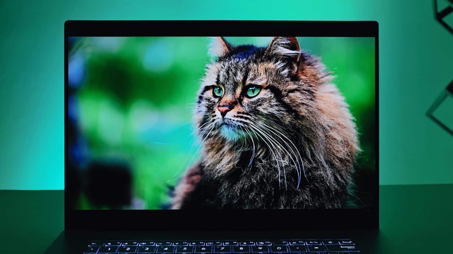 Asus Zenbook S16 Review