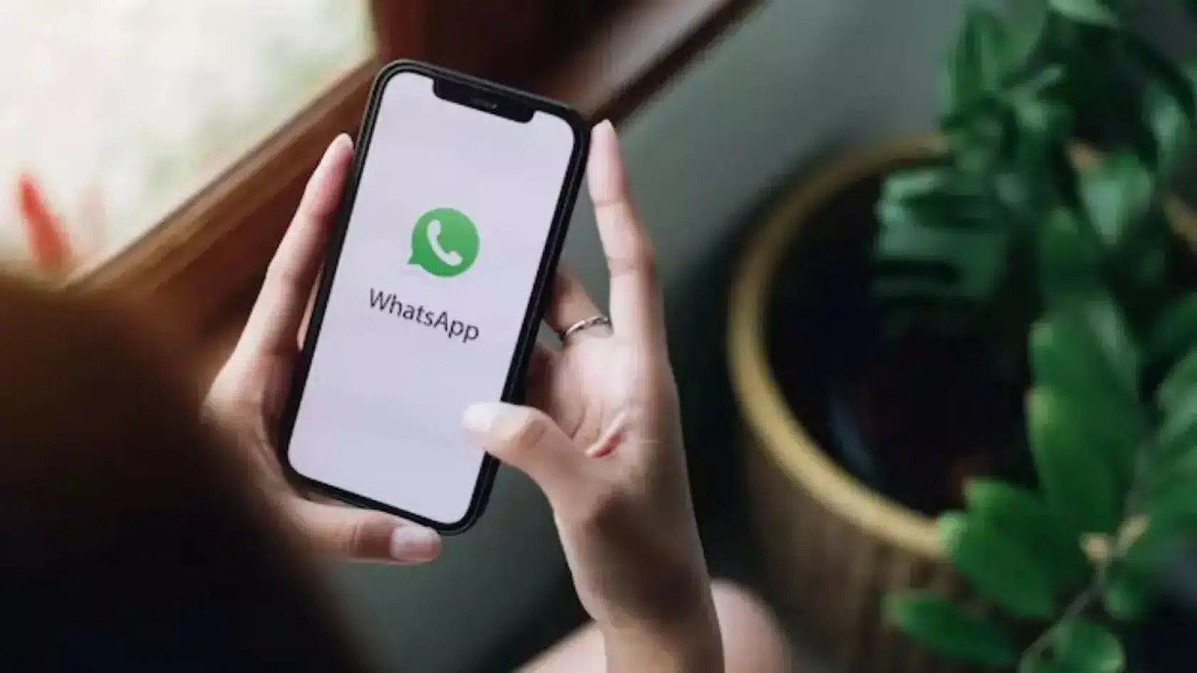 WhatsApp Tests New Privacy Control to Block Status Update Resharing