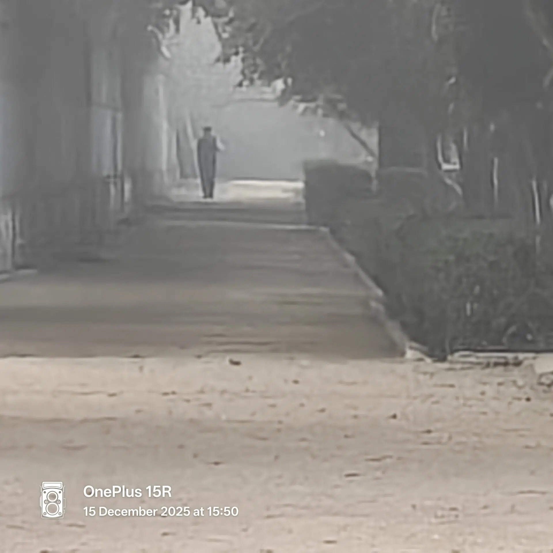 OnePlus 15R Camera Samples