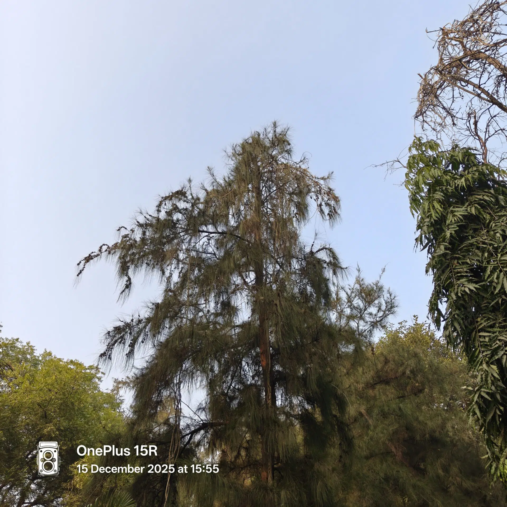 OnePlus 15R Camera Samples