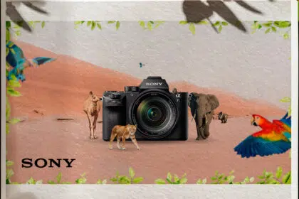 Sony India launches Think Wildlife Think Sony campaign to promote nature photography
