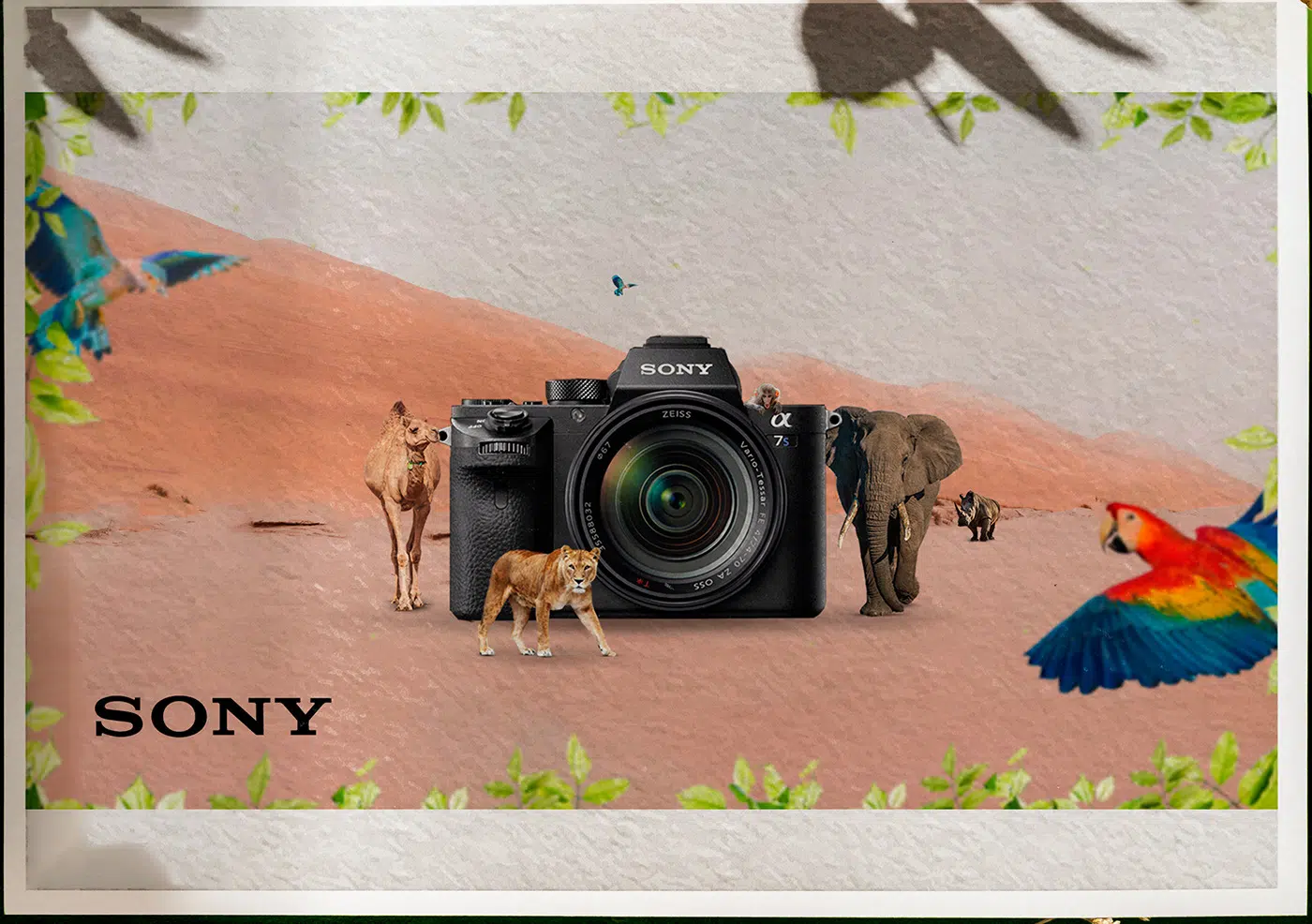 Sony India launches Think Wildlife Think Sony campaign to promote nature photography
