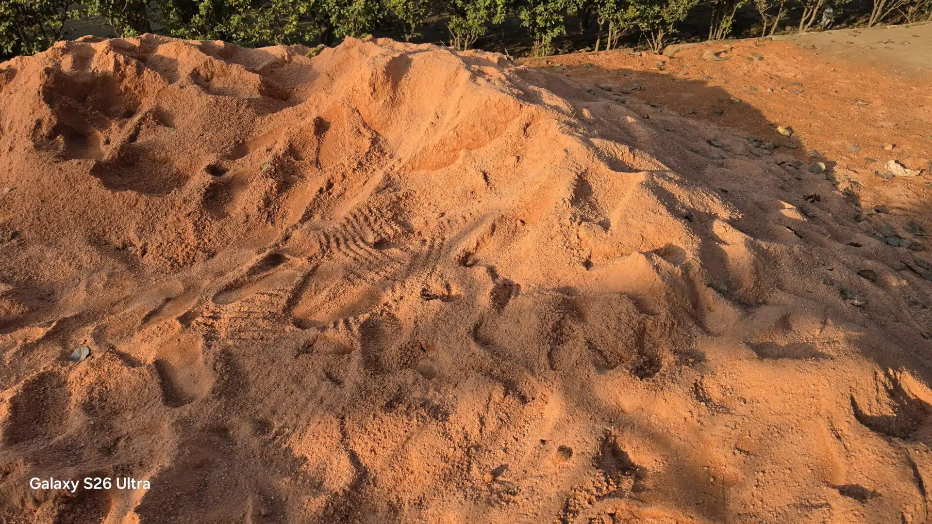 Samsung S26 Ultra Camera Samples 8