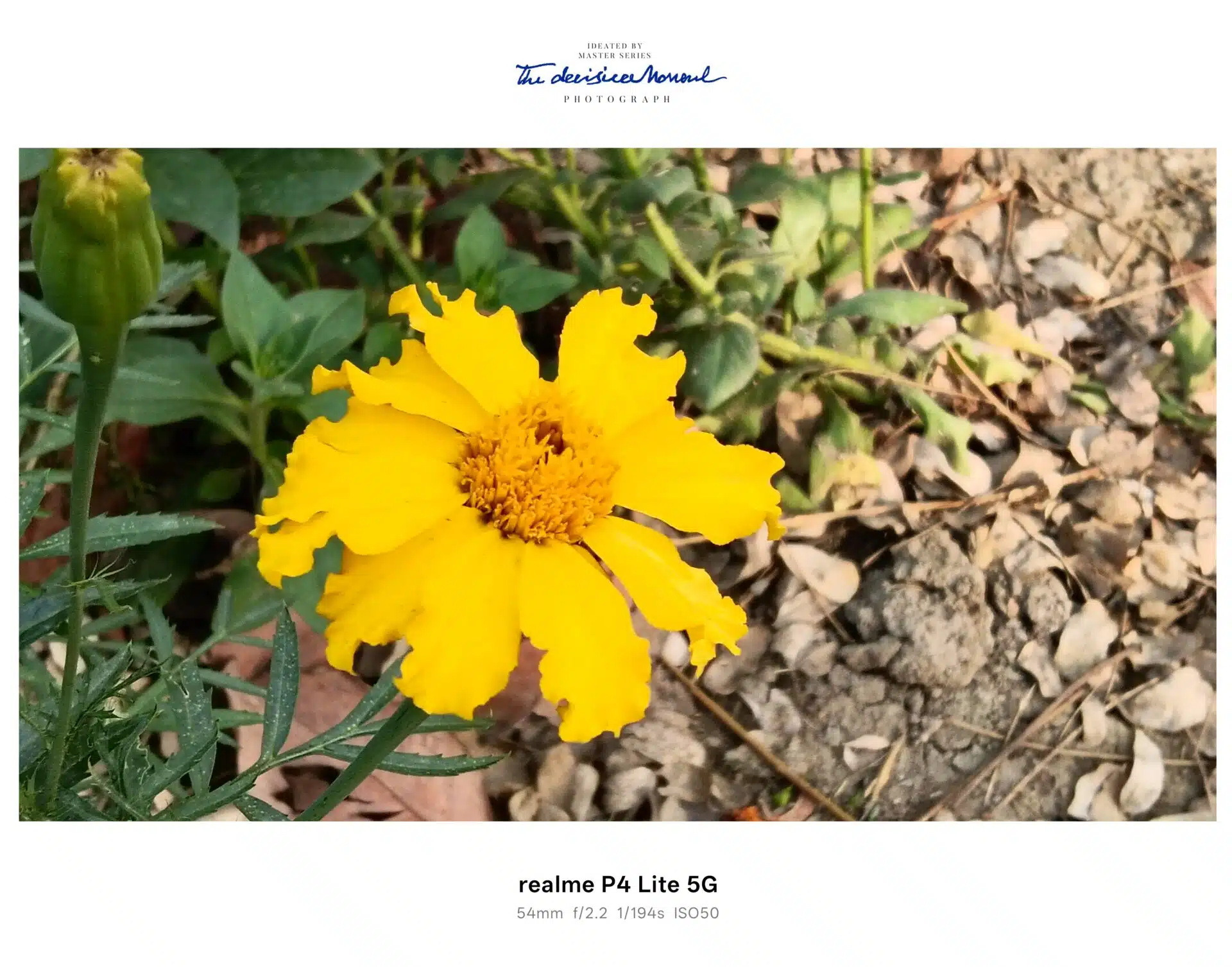 realme P4 Lite 5G Camera Samples 5