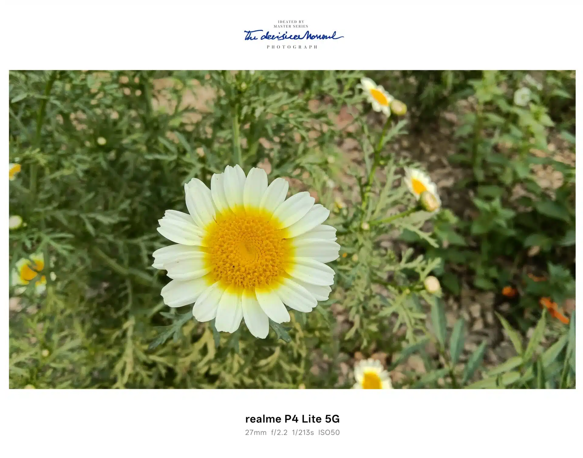 realme P4 Lite 5G Camera Samples 7