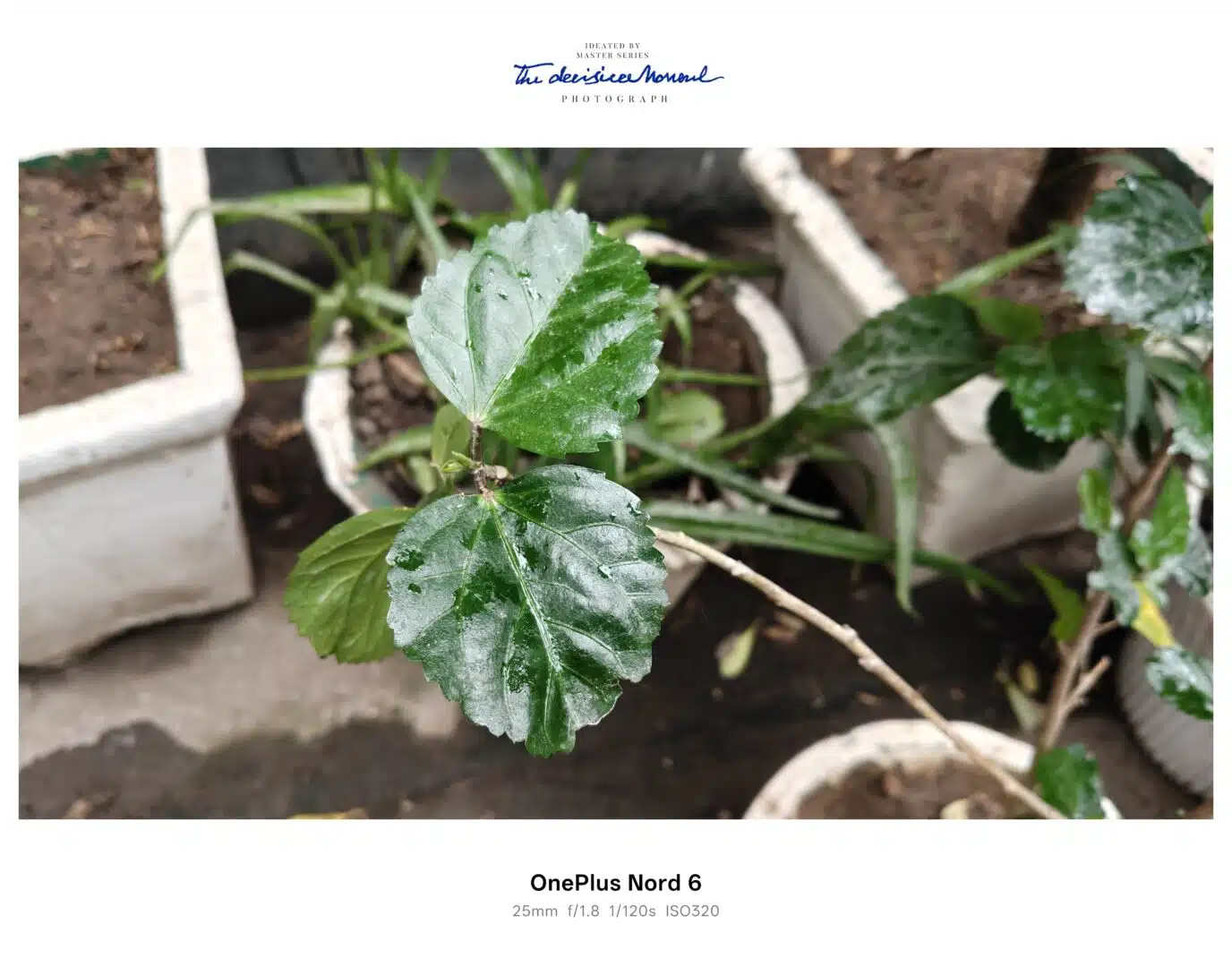 OnePlus Nord 6 5G Review: Is the 12GB RAM Variant Worth ₹41,999? 13 OnePlus Nord 6 5G Camera Samples