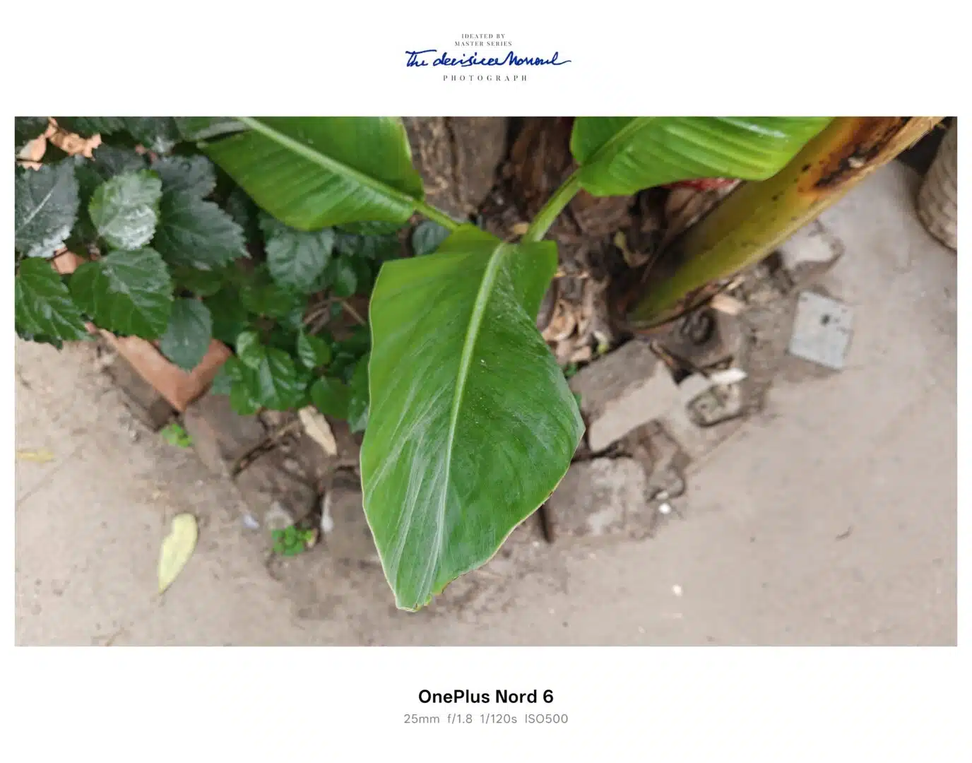 OnePlus Nord 6 5G Review: Is the 12GB RAM Variant Worth ₹41,999? 14 OnePlus Nord 6 5G Camera Samples