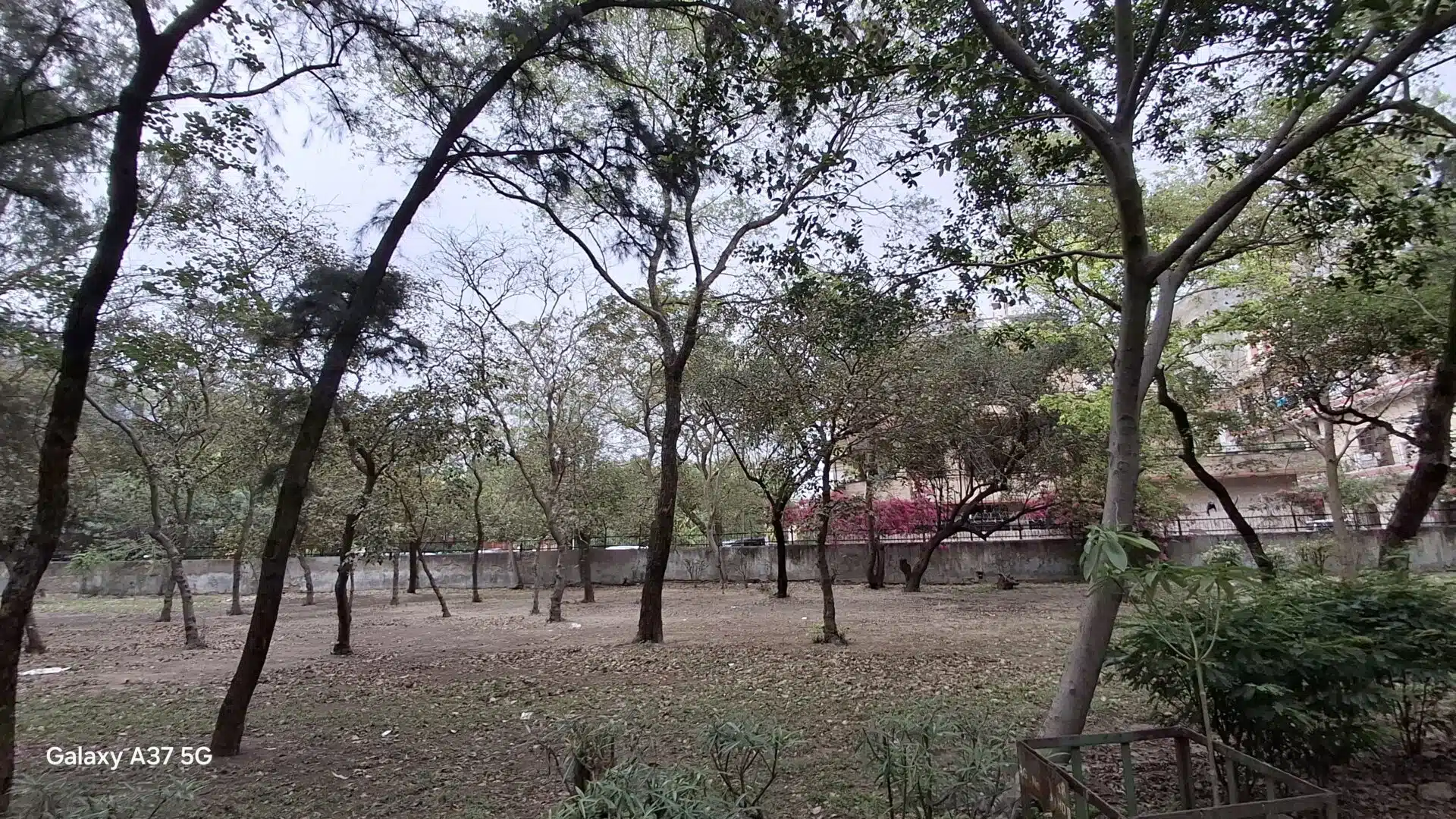 Samsung A37 Camera Samples 5