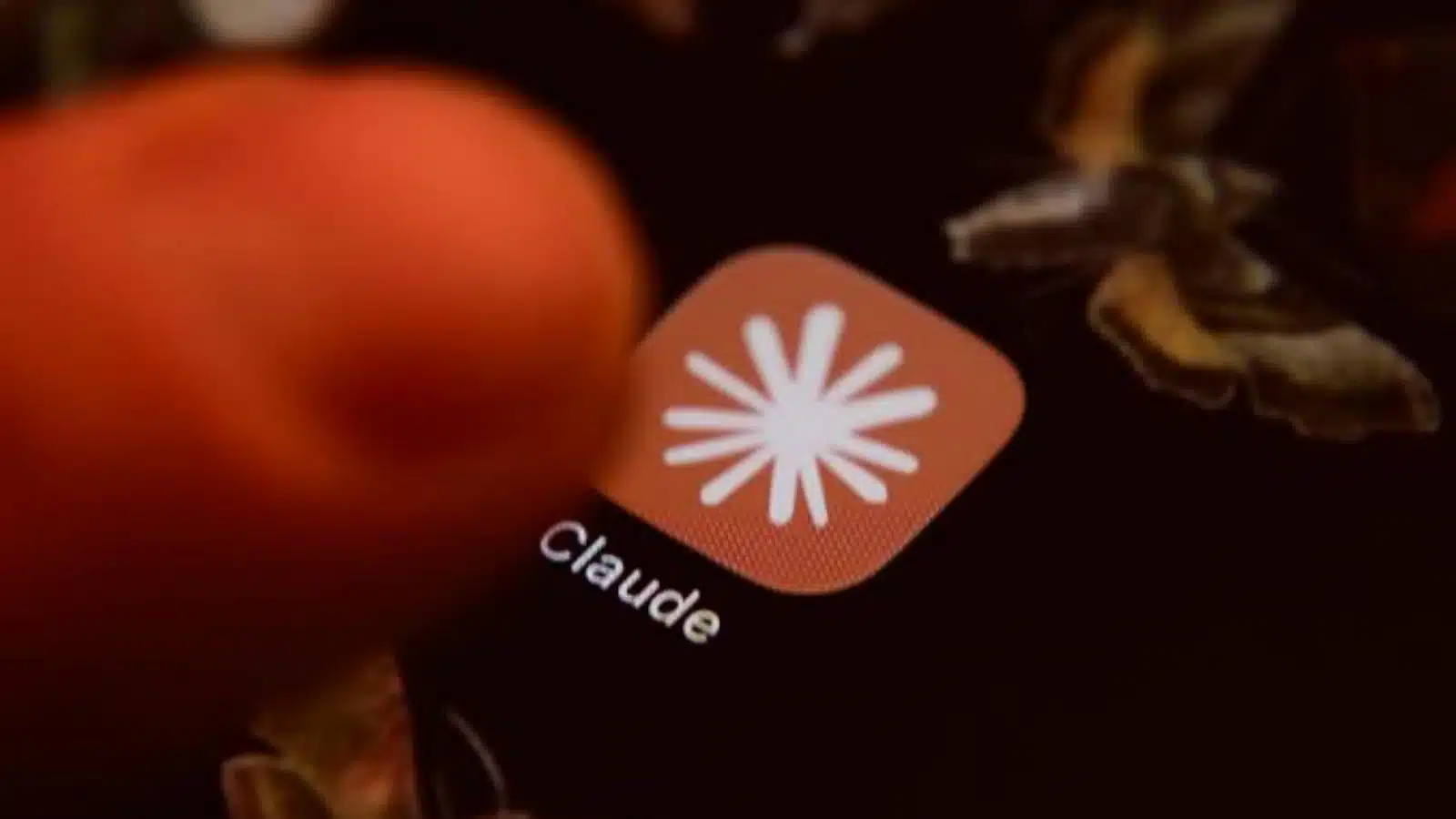 Anthropic launches Reflect beta dashboard to track Claude AI usage habits(1)