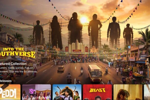 Netflix Launches Southverse Hub in India to Help Viewers Find South Indian Content