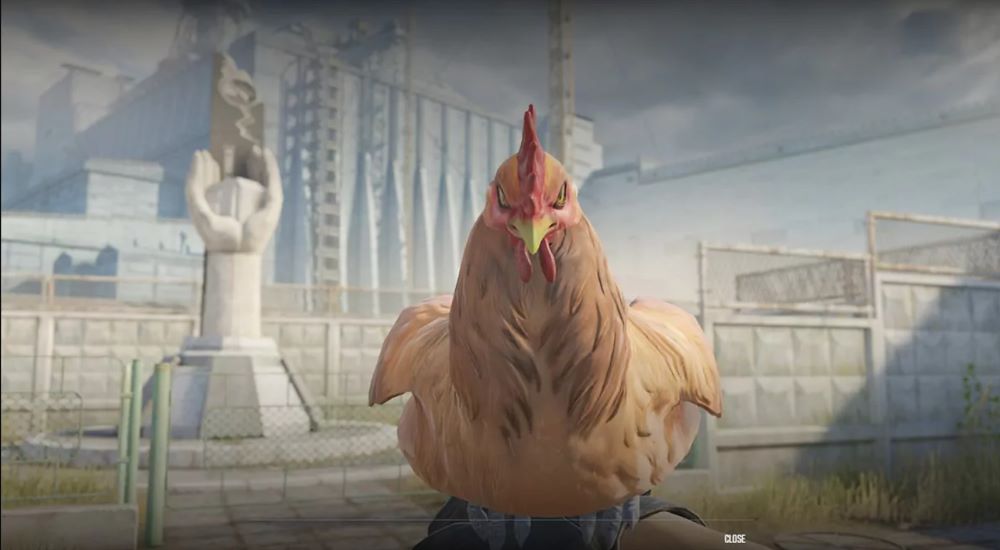 Valve Adds Chicken Pets to Counter-Strike 2 Without Prior Announcement 2 Valve Adds Chicken Pets to Counter-Strike 2 Without Prior Announcement